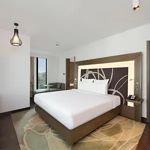 Hotel Ocean The Near Delhi Airport